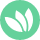 Grünes Icon mit drei Blüten, Symbol für „blüht"